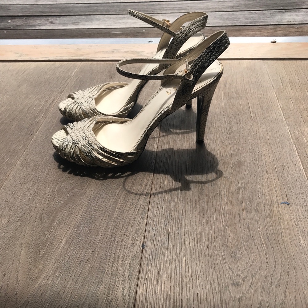 Ralph Lauren SnakeSkin